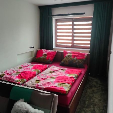 Apartman Uprostred Trojuhelniku Praha - Karlovy Vary - Plzen Kolesovice Εξωτερικό φωτογραφία